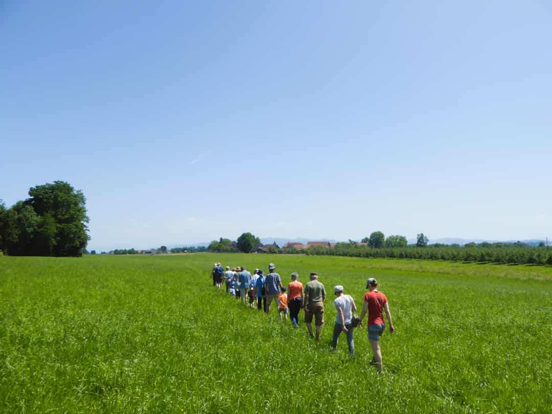 Ökumenische Pfingstwanderung für alle